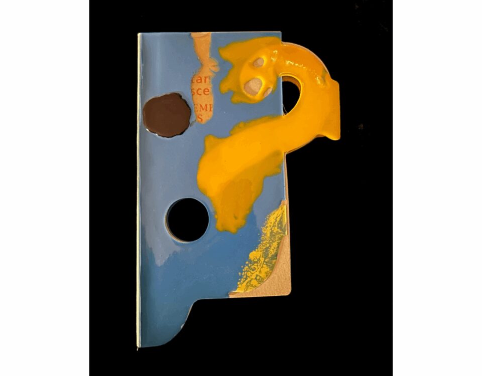 Catalogo-oggetto in resina della mostra Gaetano Pesce al Centre Pompidou, 1996